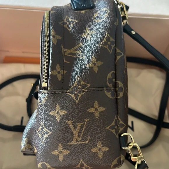 Louis Vuitton Palm Springs Mini Backpack - Picture 2 of 5